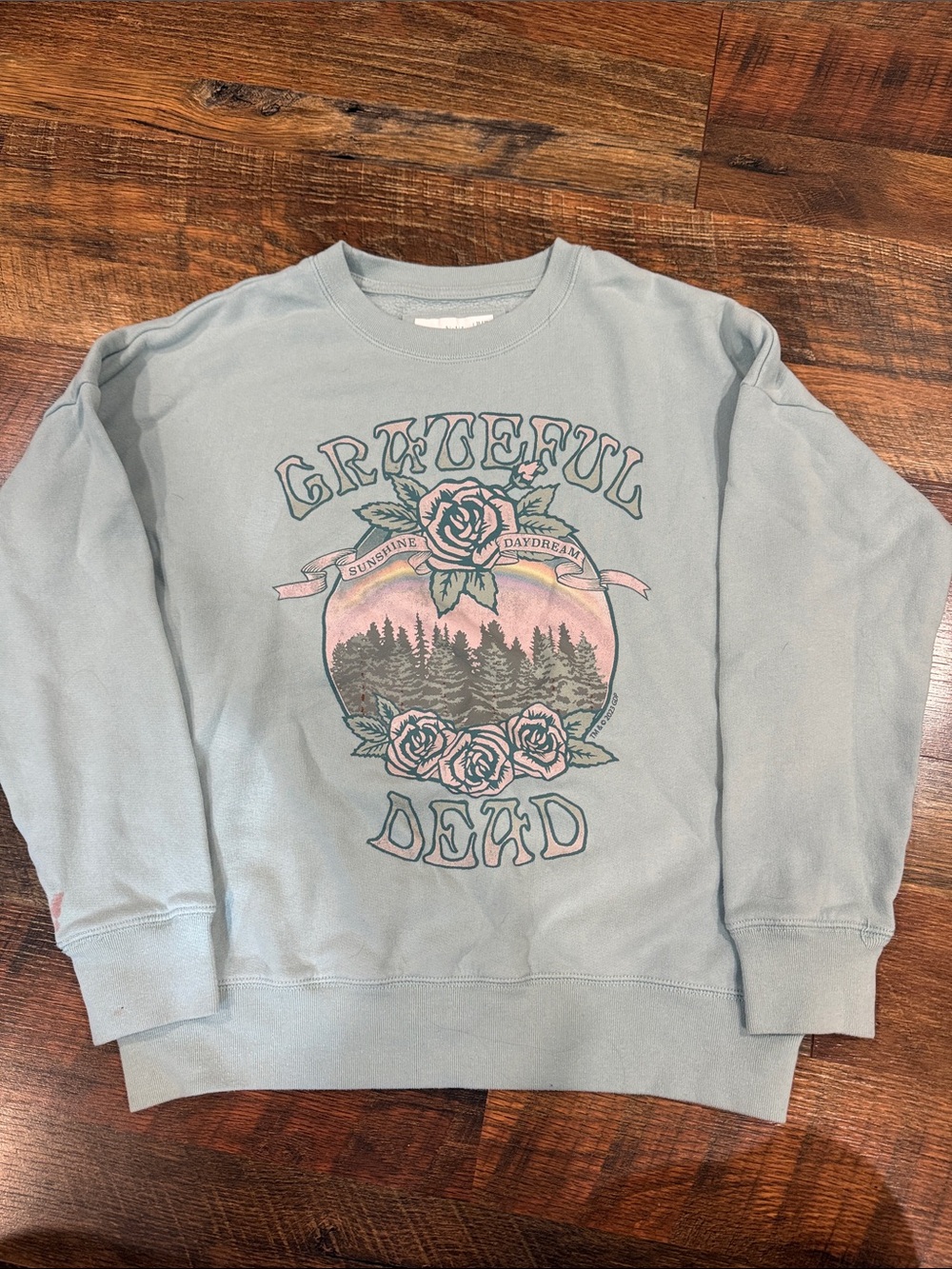 abercrombie kids pale green/blue Grateful Dead graphic sweatshirt